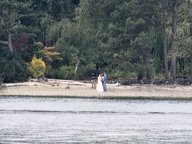 Carly's Wedding 2025